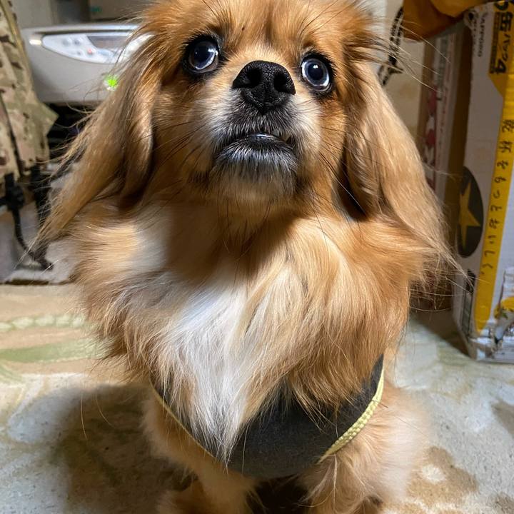 89b41455 2117 4817 99b5 45f6e3def606 1580334259865