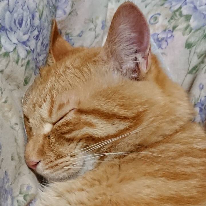 89b41800 5e71 4f14 99d3 eaa174168cd4 1661776777547