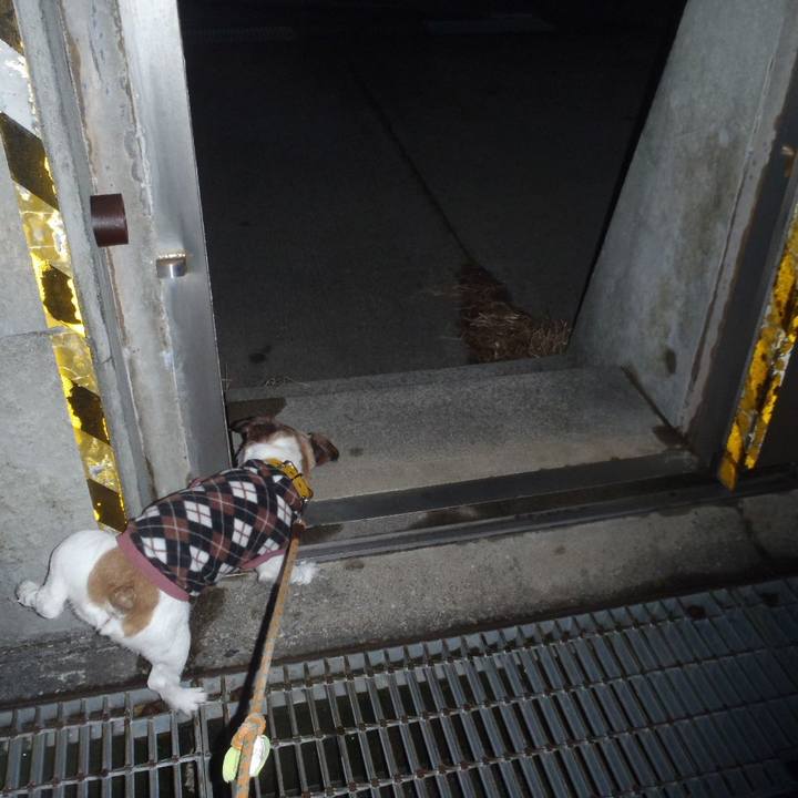 89b43639 073e 45f0 b5a5 8a174a0d10d8 1512642079478