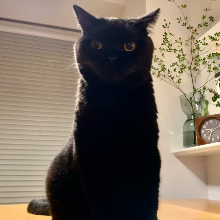 89b481d2 d295 44b1 95e7 fbff569be76e 1692276434576