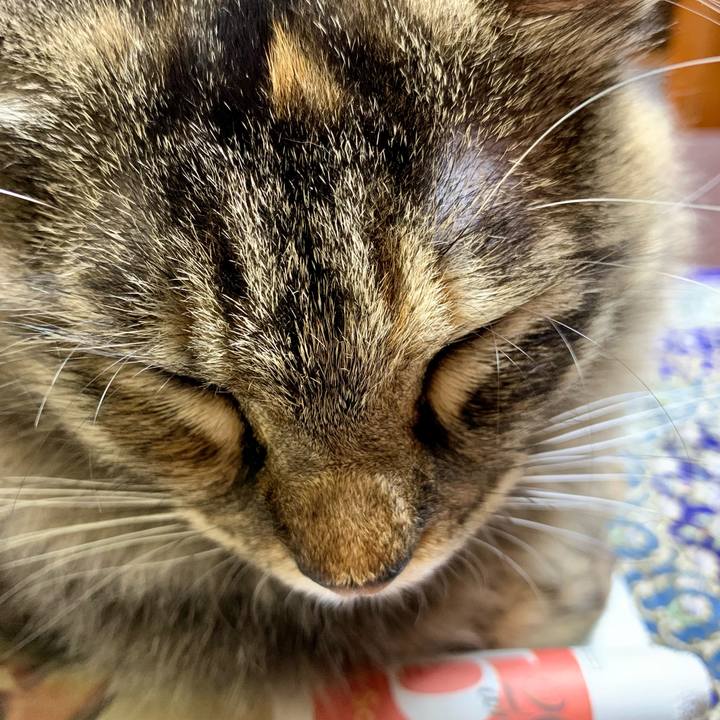 89b48e30 0d55 4aa7 9874 5aa7bf506853 1654950699619