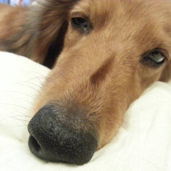 89b49338 d23a 433c bcf5 6394d105992b 1536411748278