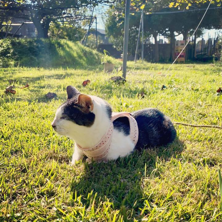 89b4a7c4 3f2c 4037 bf85 61b3fcf5c0a6 1603955432107