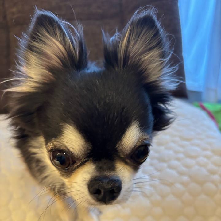 89b4bc54 2180 43c5 99ea b34e91a4fe57 1742140610791