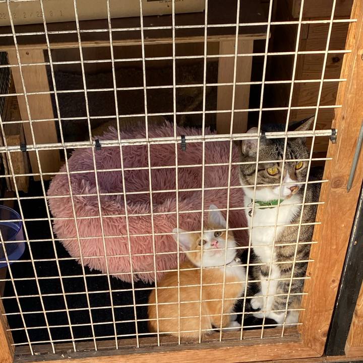 89b4db2c 3bd2 4346 9be5 529bb31d9b05 1666338554919