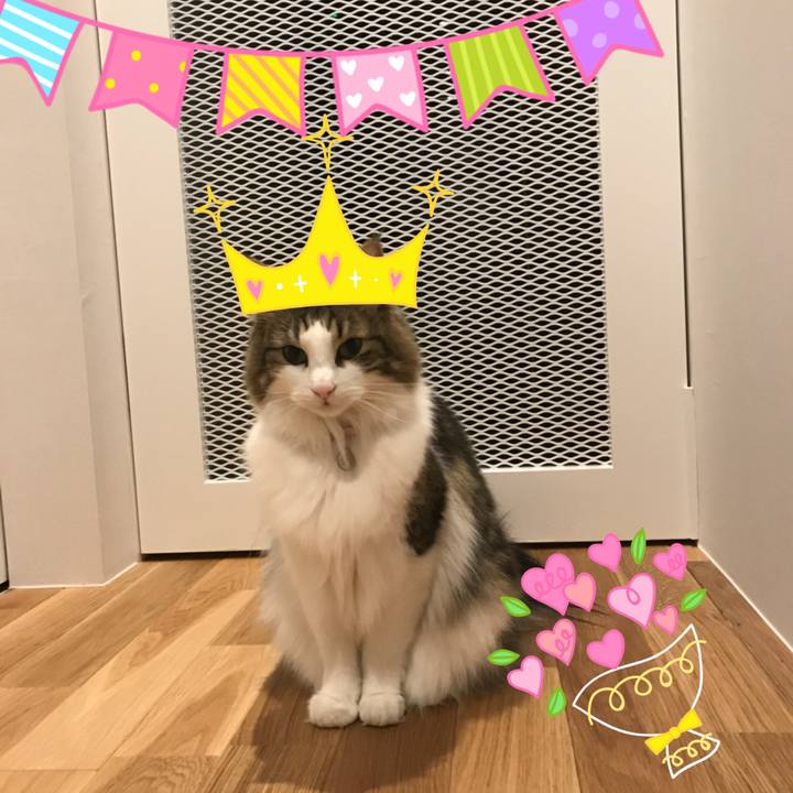 89b4f42d d23f 4f50 9858 a9614d736998 1519290814903