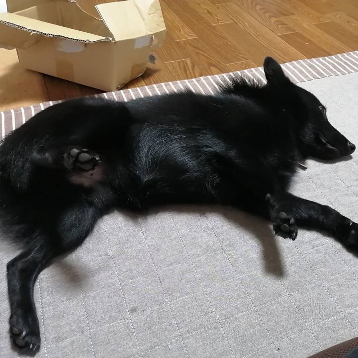 89b5098f 597d 465a a85b f8bced57e35e 1602897915437