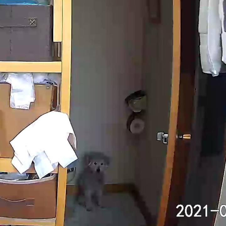 89b52862 6c02 4215 8f8d 081ba6f042e2 1617938382289