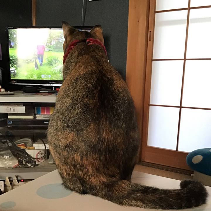 89b5312a 29cd 418f 9336 47615f29dc5f 1598997129592