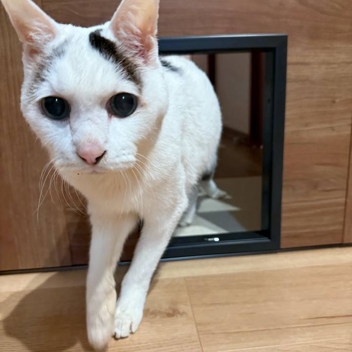 89b54b96 afe6 413e b6f1 fd6e44026585 1769135811008