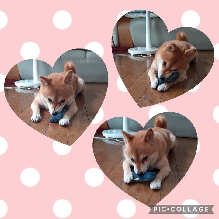 89b5839a 58d4 48a0 ba0c fb529498232e 1718842312893