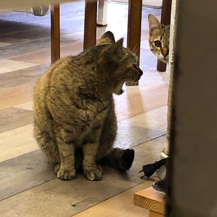 89b5da7e 68ae 4037 8772 68b00fa41350 1586740667501