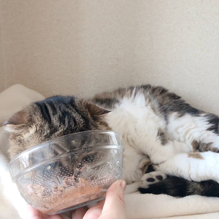 89b5de9c bb6f 4732 8473 66001d4a393f 1589765996836