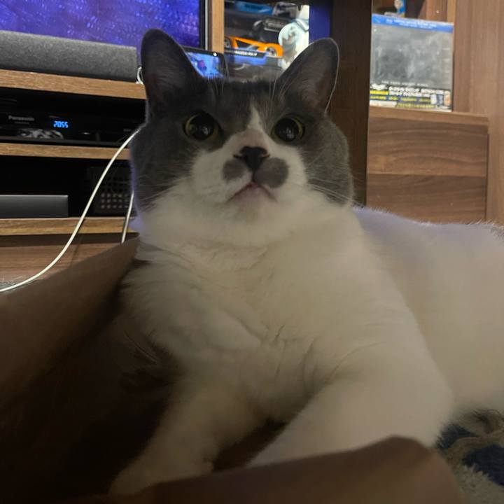 89b6214e 1650 4626 9717 29aa8eddef00 1687176615871