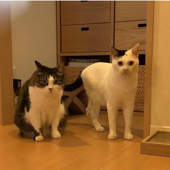 89b66895 f393 440d 9208 ba51ca596de2 1688191653990