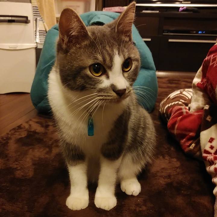 89b66e12 5ac5 4c5b bf6e 2672a67accc8 1579427203672