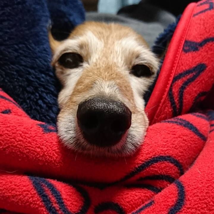 89b67f7e 018e 4c3e a6d5 efa0f6043aa5 1512983755661