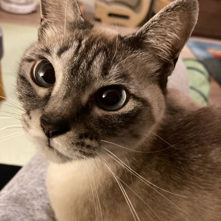 89b746d0 4f4f 412c 8cdc 9d4fe471fe5f 1648030003875