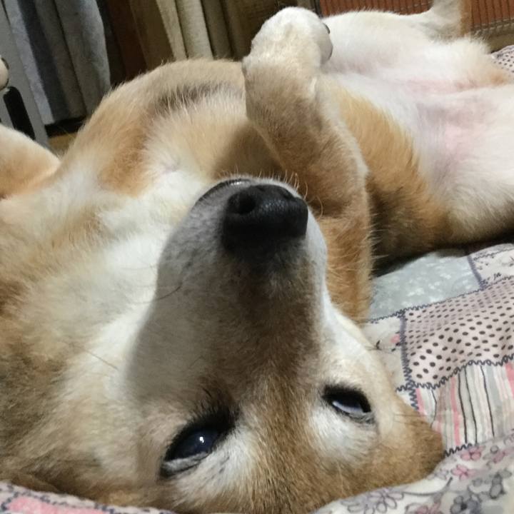 89b74ed2 6871 47cf 97d6 d2f7759a8623 1630845734563