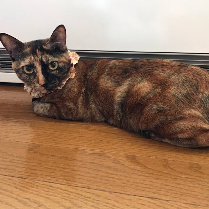 89b78efb 1f59 42fc 99ff 818ce5f58d1e 1649712521284