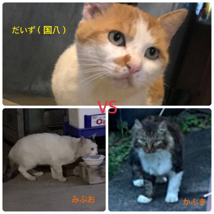 89b792af a97c 4845 84d4 aff812224502 1602150635969