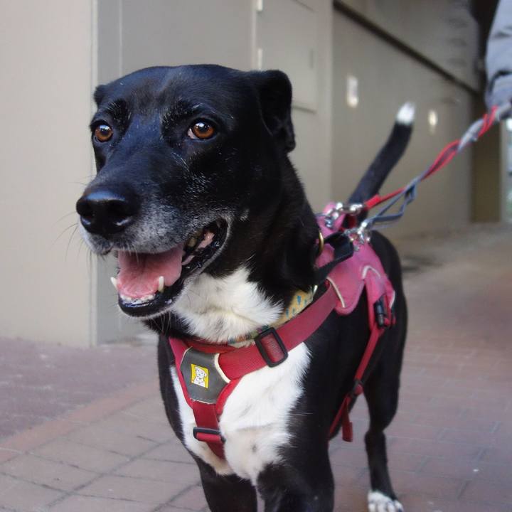 89b79b59 3ad4 47b8 bc40 090c5acbd650 1701045917890