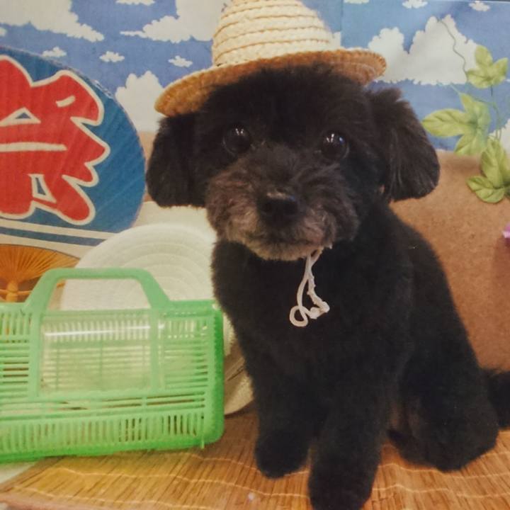 89b7b784 73a6 403b 86f5 d6b5ed1114c9 1561260490572