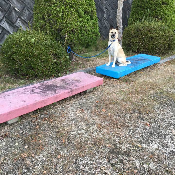 89b7d1b9 6e91 471c 947b 15a01e69b2e8 1509787260075