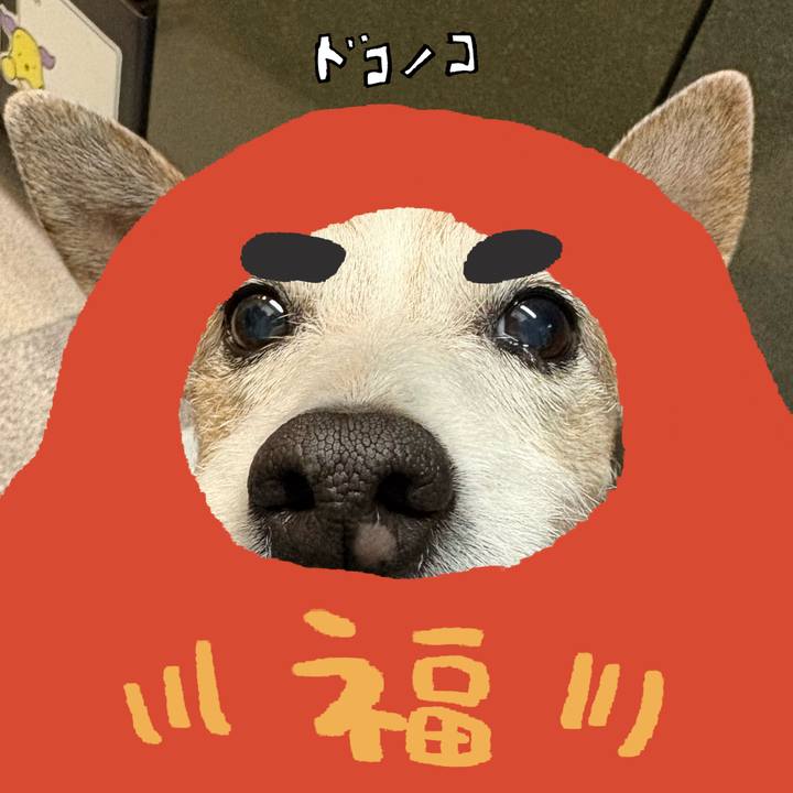 89b7eca1 c7dd 4cbd 8e1a ce6d67e3c676 1771975828295