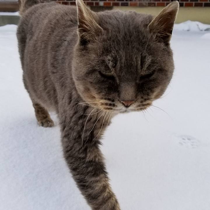 89b7f9dd 39e8 456e a088 3d7cbf9a2425 1547709416349