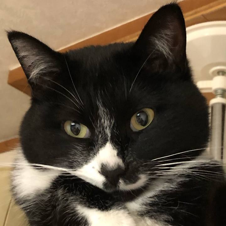 89b7fa2c b108 416e a05b d80bfe47f3df 1584765815049