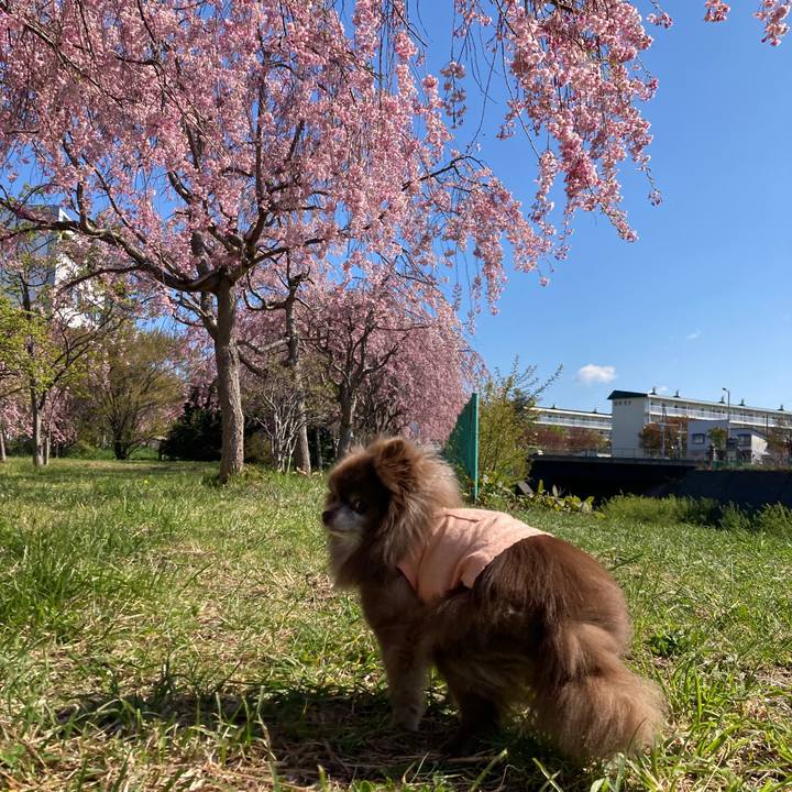 89b813a3 273b 49d0 8e74 6d5873837d70 1682566725043