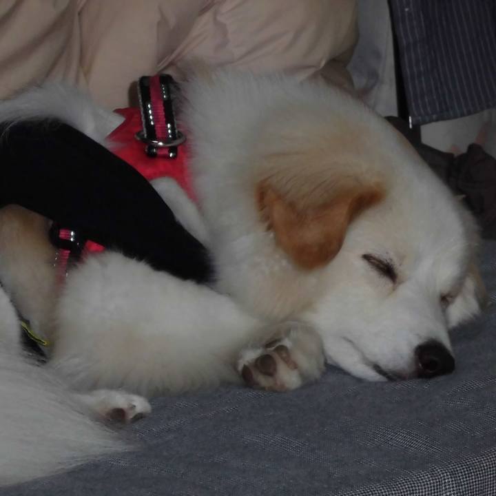 89b894cc 77ce 44de 9e5c dd49872b405c 1642996502831