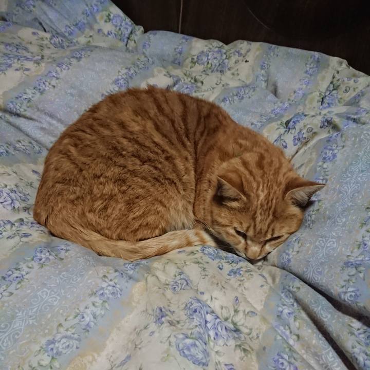 89b89873 2b7e 49e8 a1bb 0243d2dea9fd 1582891603284