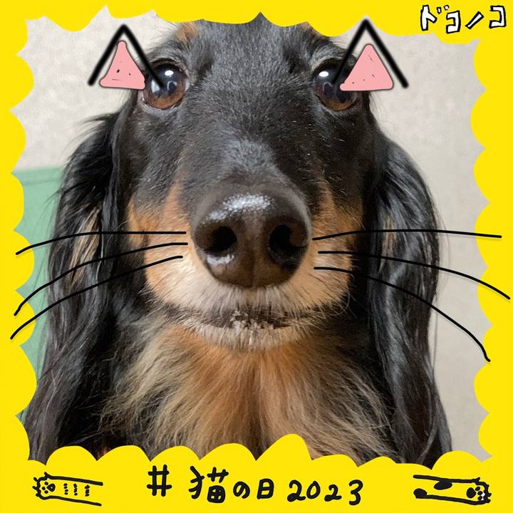 89b89ccf e7de 4bd4 9c55 cd9984a3fe74 1677054169709