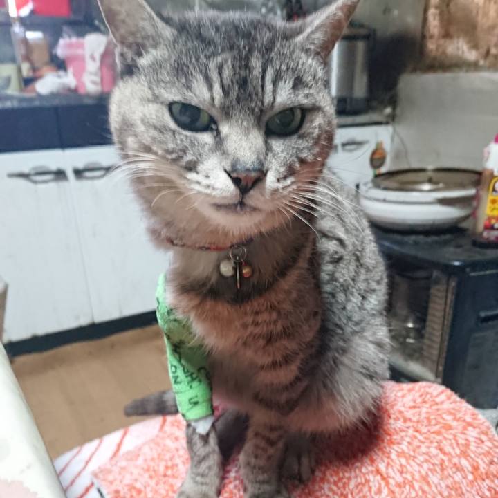 89b8cedc b025 4986 9cf3 48935f98fba4 1587069356248