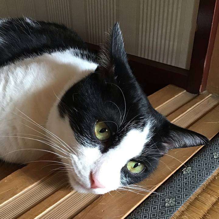 89b8d5ec d399 4109 a1e7 7ea0e7678b95 1723459253331