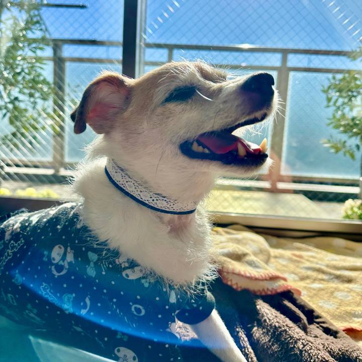 89b8f886 92cc 4f15 8ddb 879db072cd0b 1704684011736