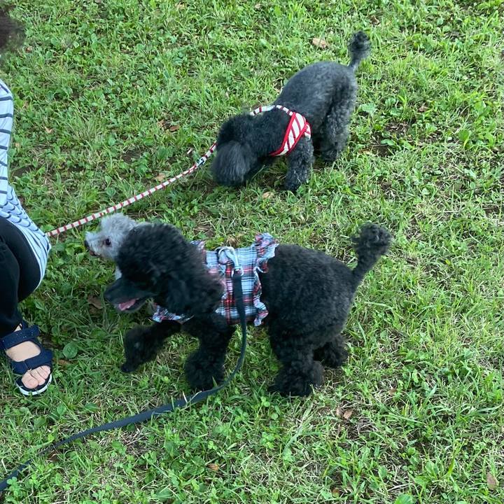 89b93ed5 abd6 4e02 b6bd 31e909336200 1635025918628