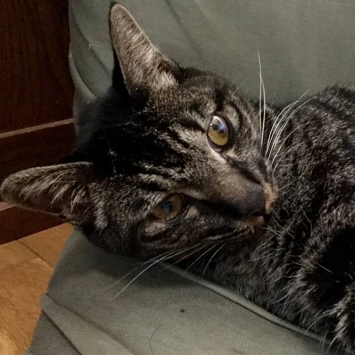 89b95bdf c557 4003 9707 c65bc8d09e08 1570842022295