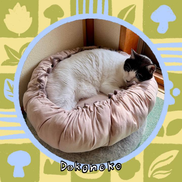 89b965ce 1b39 4e0e 9b93 733872b6ed90 1761751038875