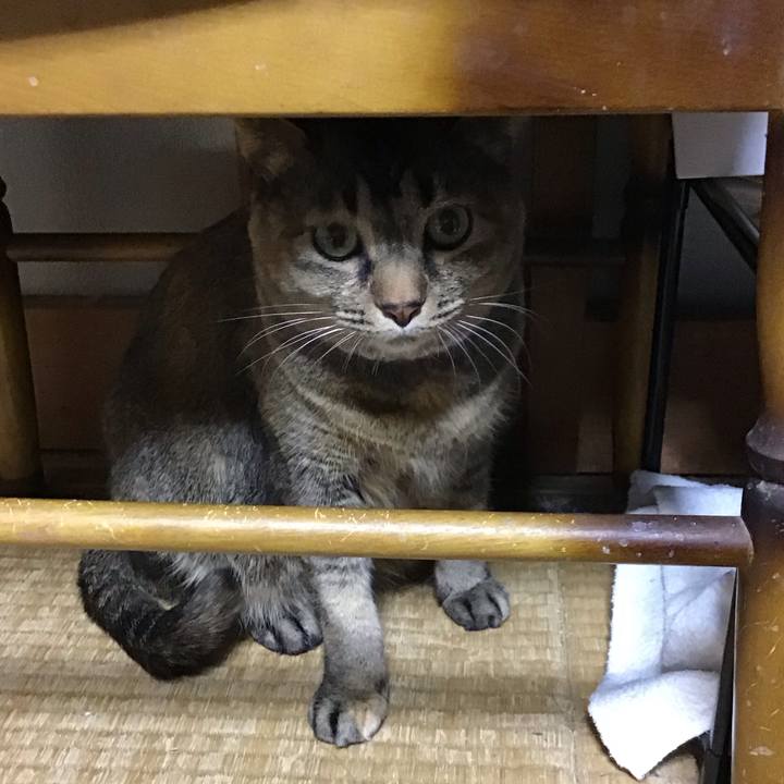 89b994a7 4185 4c46 8d17 3716ac834c86 1676625768780