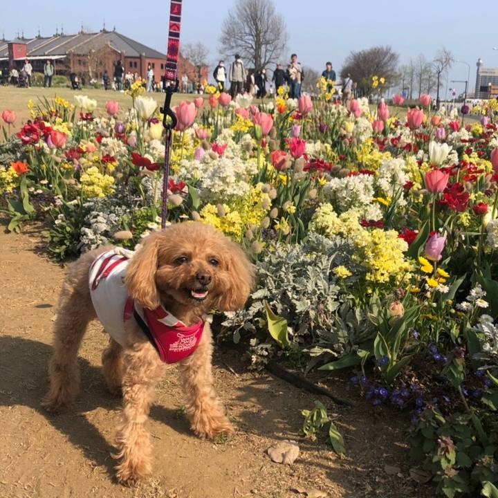 89b9b5f1 a996 4c90 84b0 5820091d282d 1554878615017