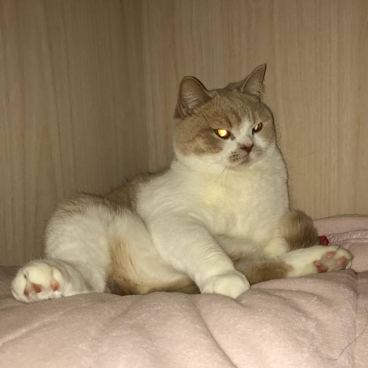 89b9dbdc 244d 4524 b31a 91c843c5b339 1512828388755