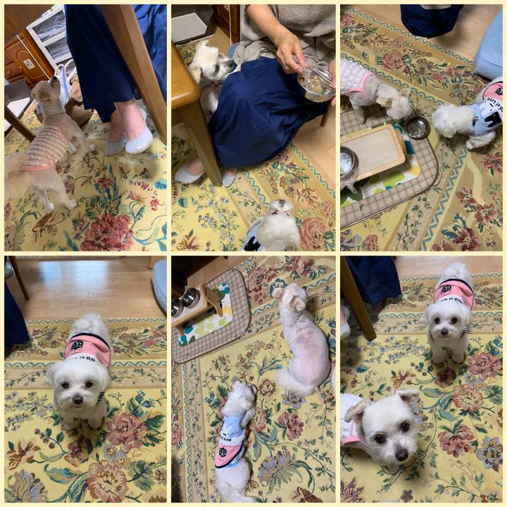 89b9dc9a cd78 407f b2ac 256ea393640a 1624603742951