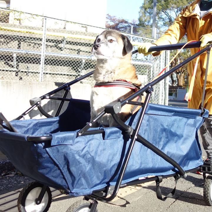 89b9ece1 91ae 41d0 9950 795b11d34d20 1574295764833