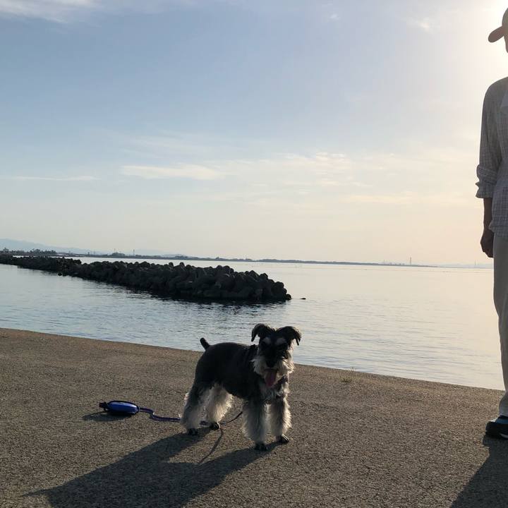 89b9f136 7bf8 40fb ba19 c4dddff38964 1683127364201