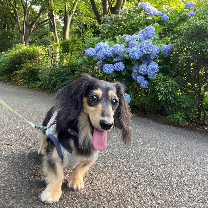 89b9f310 66e9 4fe1 9813 eb3338e5d9b5 1751504275374