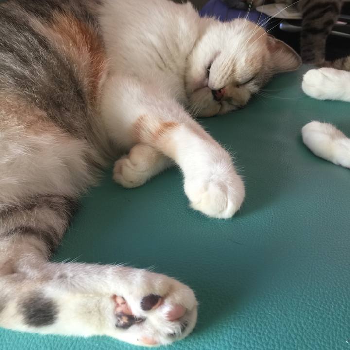 89b9f666 d11e 45ec bf5f 969a03400771 1570949193180