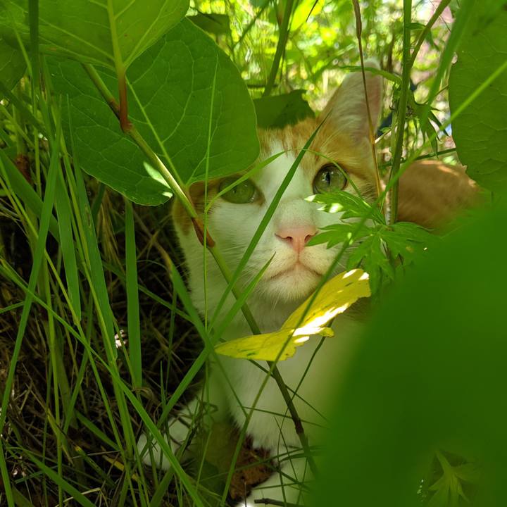 89b9f698 75d9 4553 9e16 47472554cb32 1561288792166